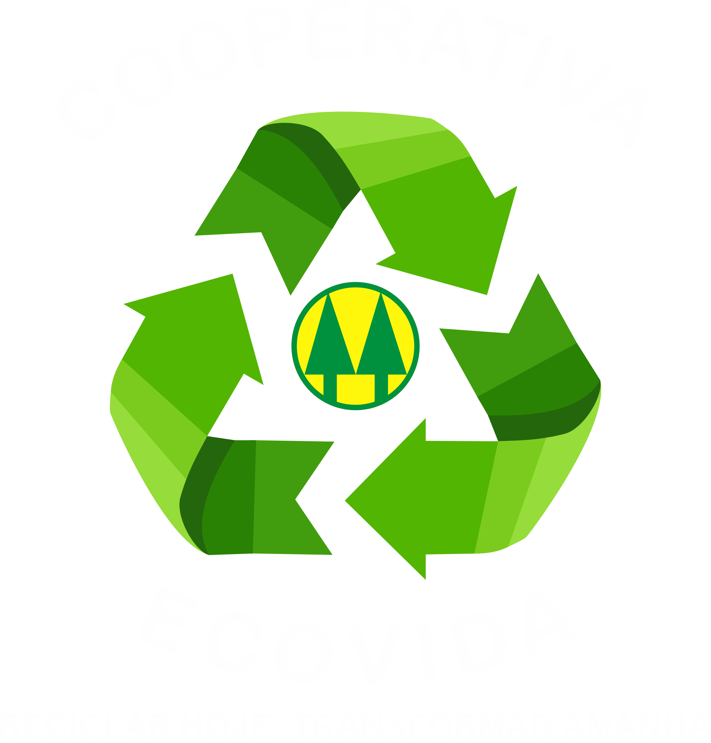 Logo Cooperativa ECOVIDA
